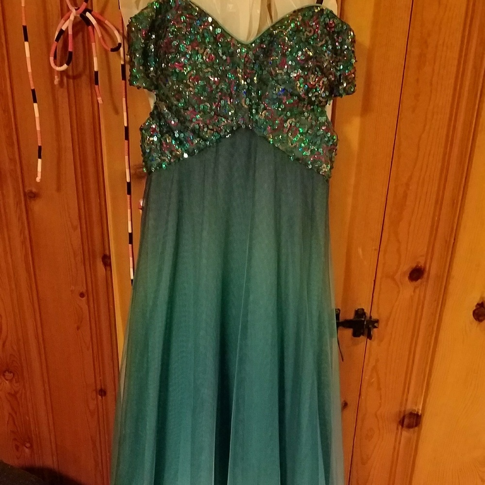 Prom Dress from David's Bridal