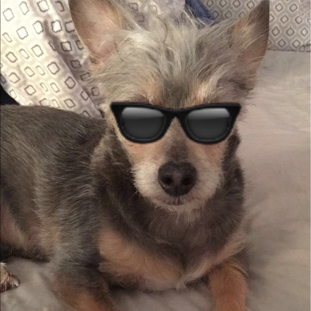 Meet your Posher, Hazbrah