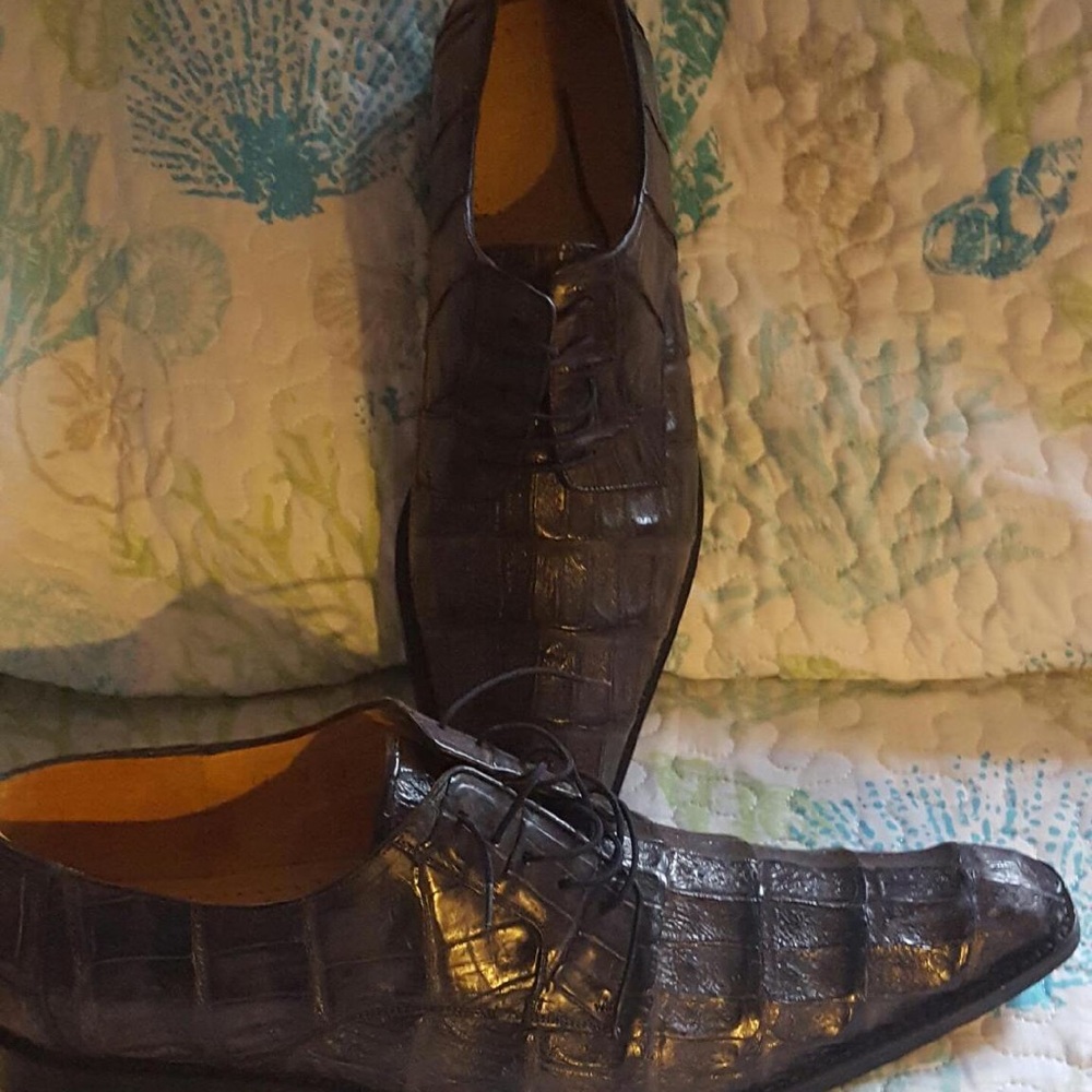 Authentic genuine crocodile