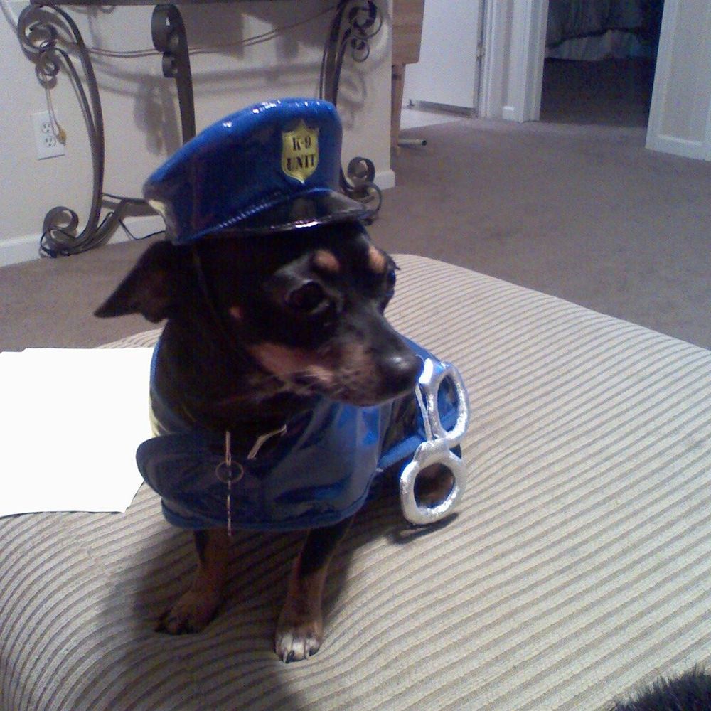 Meet your Posher, Saletha