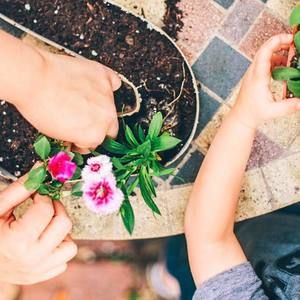 Meet your Posher, Aziza