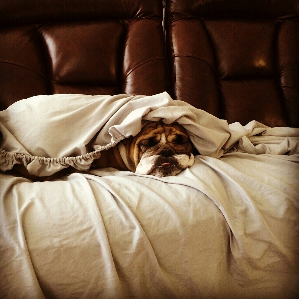 Meet your Posher, Denise