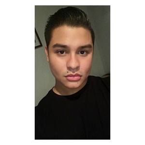 Meet your Posher, Roman