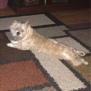 Meet your Posher, Chastity