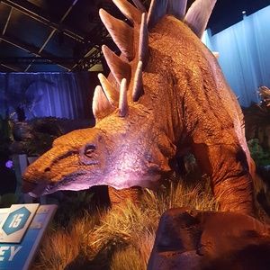 Meet your Posher, Deyanira