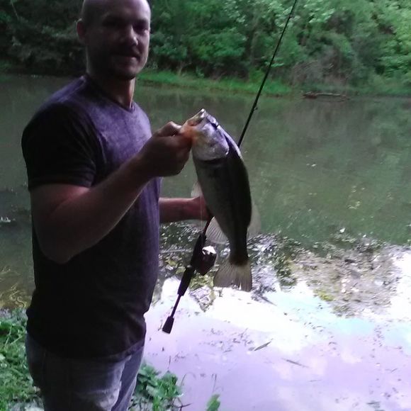 Meet your Posher, Sean m - Picture 1 of 1