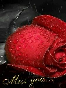 Meet your Posher, Slay