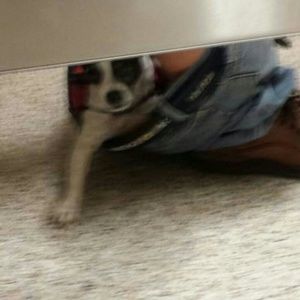 Meet your Posher, Esdras