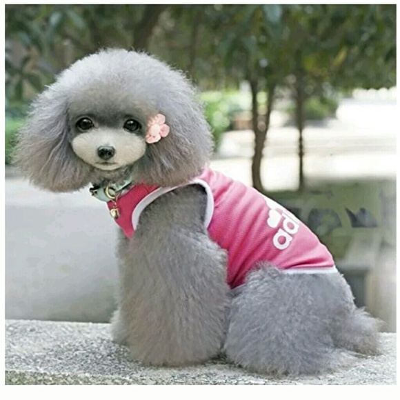 Adidog Dog Clothes Clothing Apparel (XXL, Pink) - Picture 1 of 7