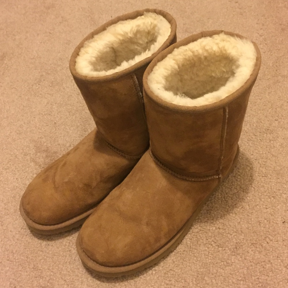 Classic Short Chestnut Ugg Boots