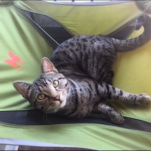 Meet your Posher, Amber