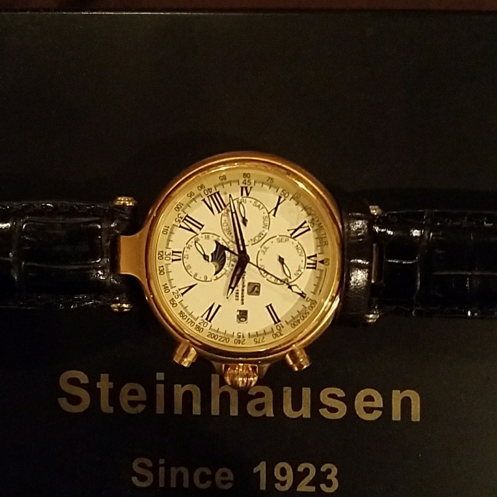 Steinhausen men's watch