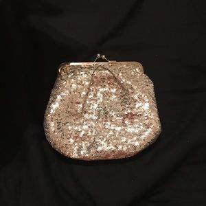 Silver sparkly clutch