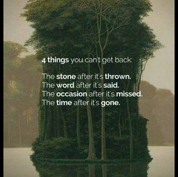 Meet your Posher, Gerry - Picture 3 of 3