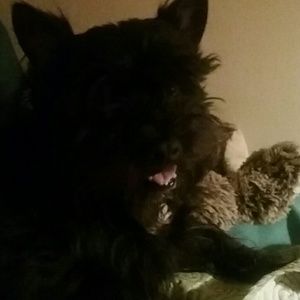 Meet your Posher, Catherine