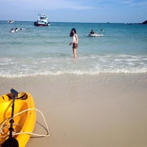 Meet your Posher, Purenicha