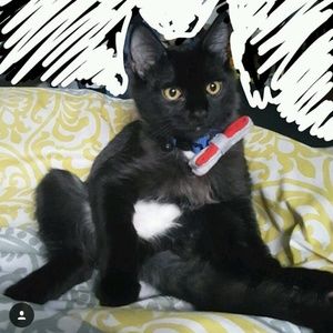 Meet your Posher, Anette