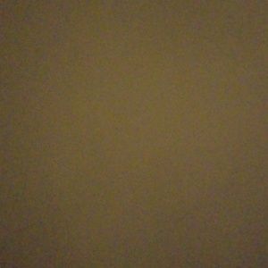 Meet your Posher, Samara