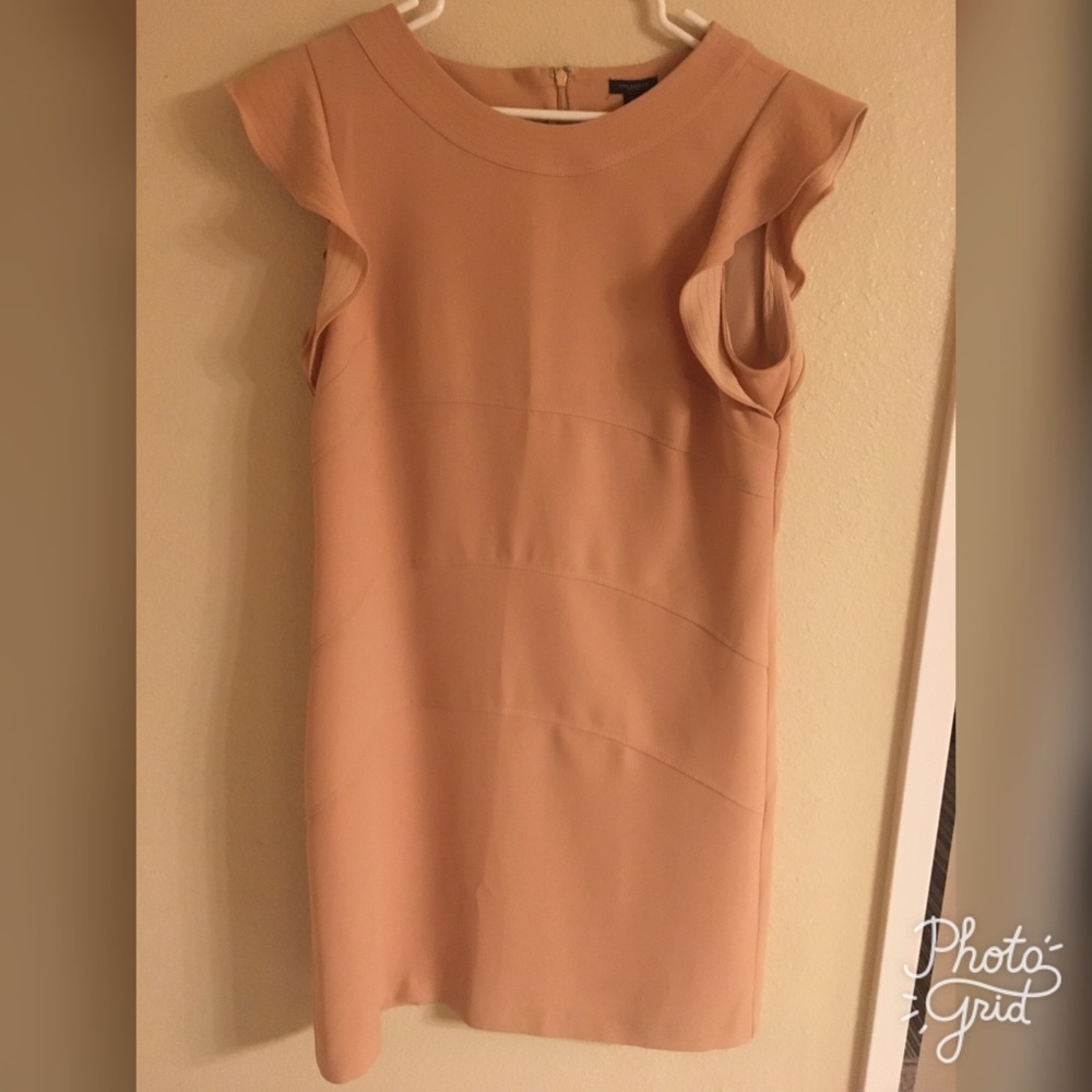 Final Drop-Ann Taylor Flutter Sleeve Dress