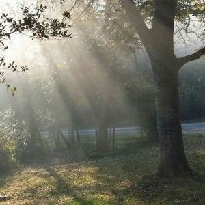 Meet your Posher, Charlotte ann