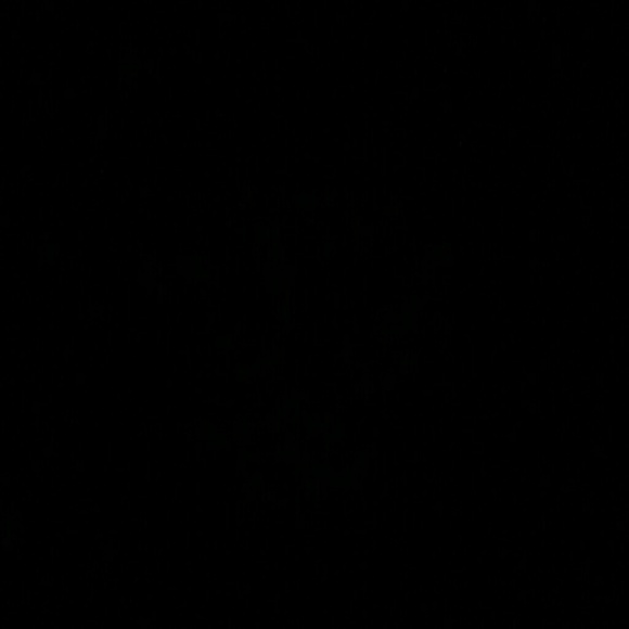 Meet your Posher, Naomi - Picture 1 of 1