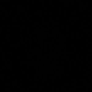 Meet your Posher, Naomi