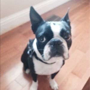 Meet your Posher, Vanessa