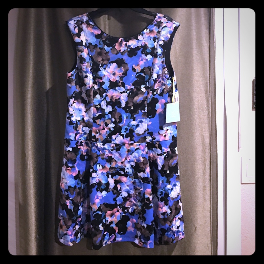 Blue floral sleeveless dress