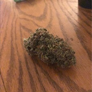 Meet your Posher, Nathan