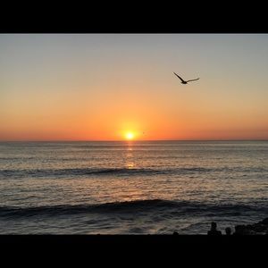 Meet your Posher, Diana