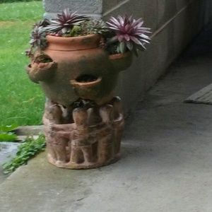 Meet your Posher, Jane