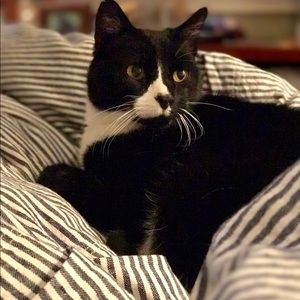 Meet your Posher, Theresa