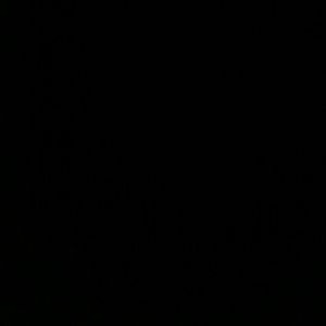 Meet your Posher, Jennisa