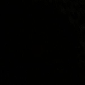 Meet your Posher, Willie