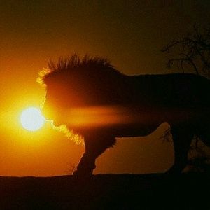 Meet your Posher, Edgar