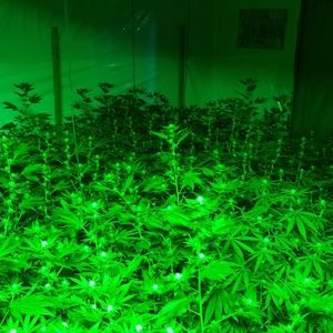 Meet your Posher, Bryan