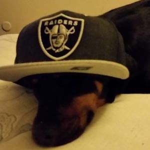 Meet your Posher, Mateo