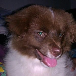 Meet your Posher, Christie-ann