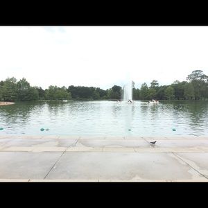 Meet your Posher, Jackie