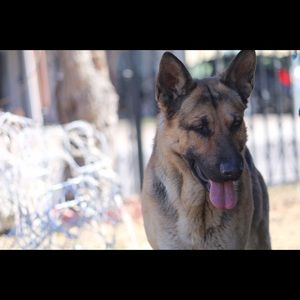 Meet your Posher, Poncho