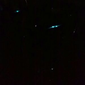 Meet your Posher, Ishmeal