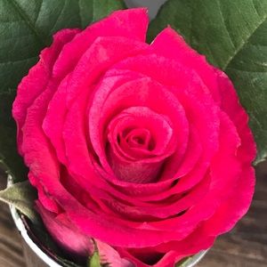 Meet your Posher, Chyna