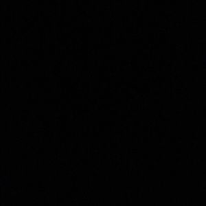 Meet your Posher, Maxi