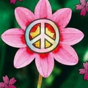 Meet your Posher, Gail