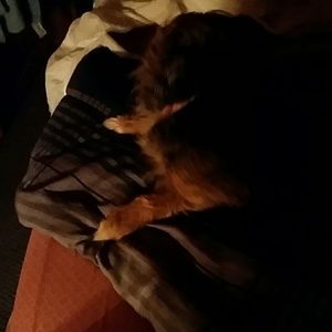 Meet your Posher, Deborah