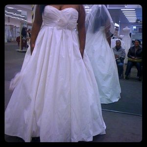 Ivory Wedding Dress and Veil