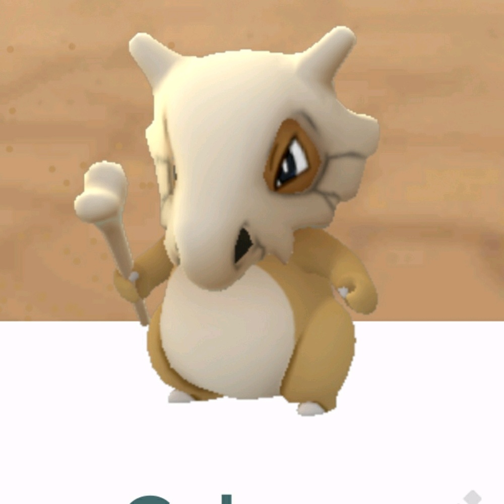 Meet your Posher, Rogelio