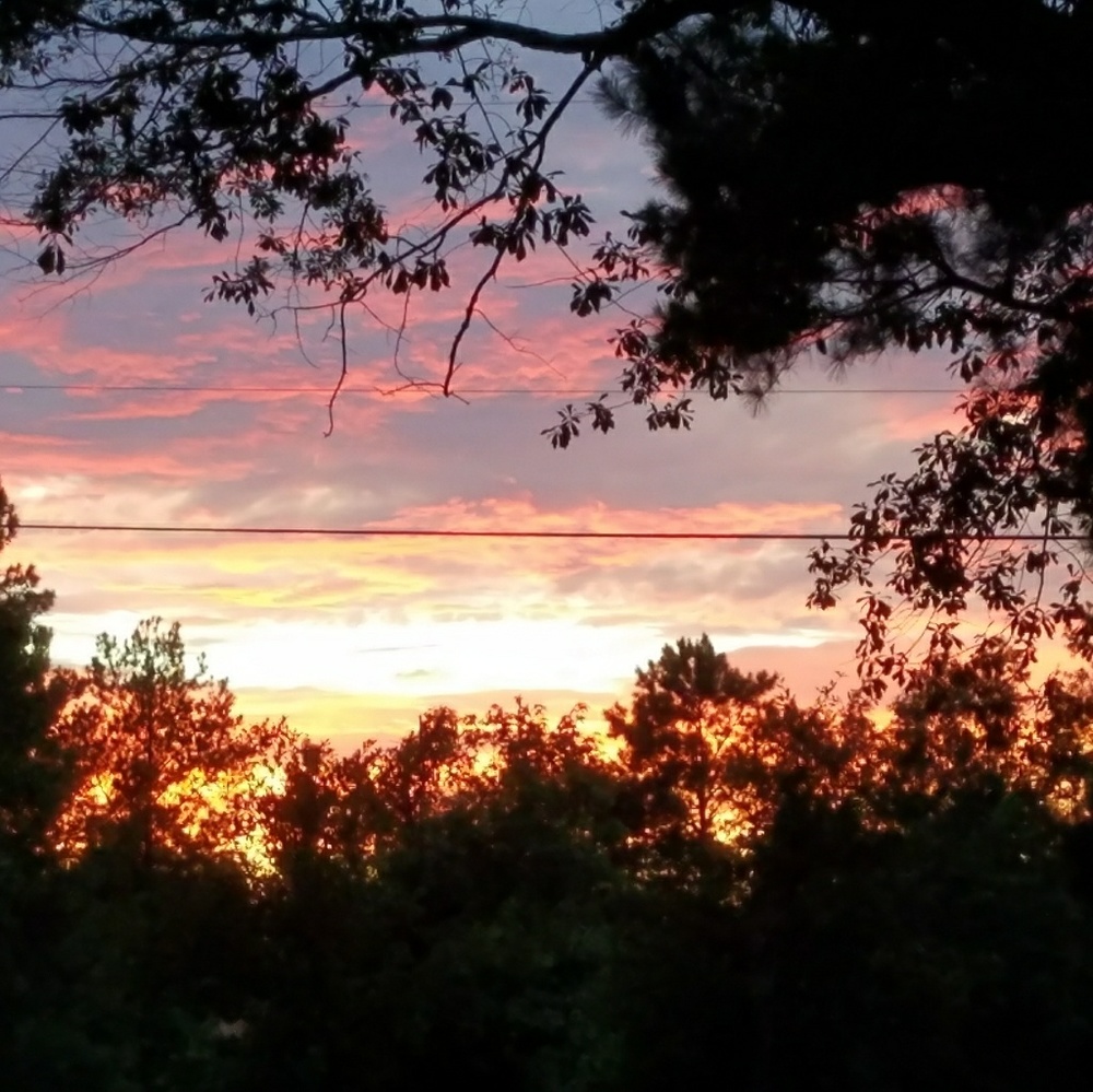 Meet your Posher, Lora