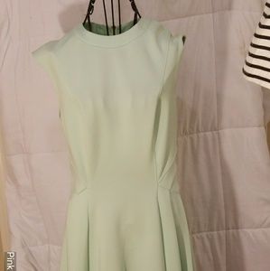 Ted baker mint green dress