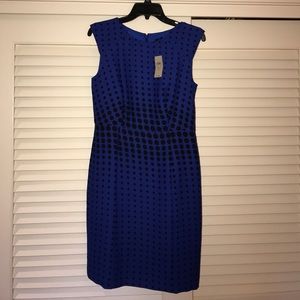 Ann Taylor royal blue dress with black polka dots